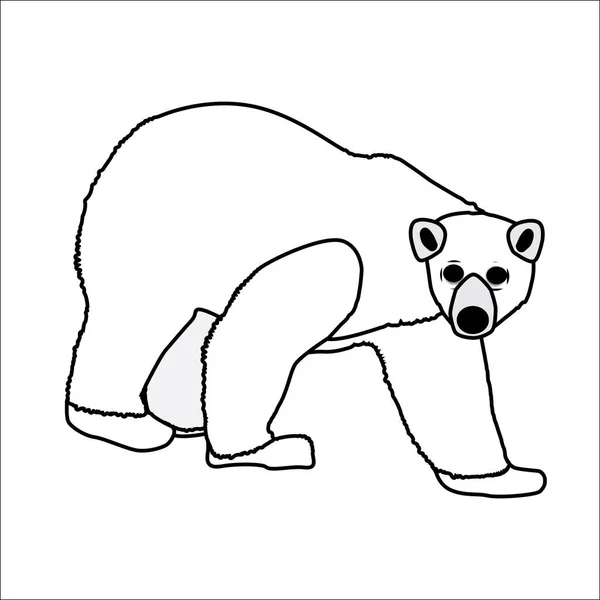 Simple Polar Bear Line Drawing White Background — Stock Vector