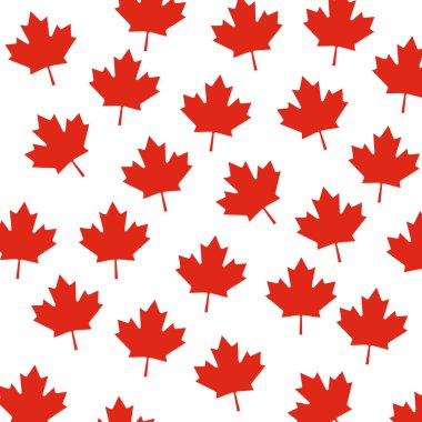 A canadian fall style maple leaf background isolated on white