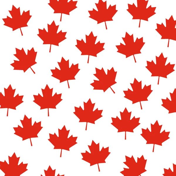 A canadian fall style maple leaf background isolated on white