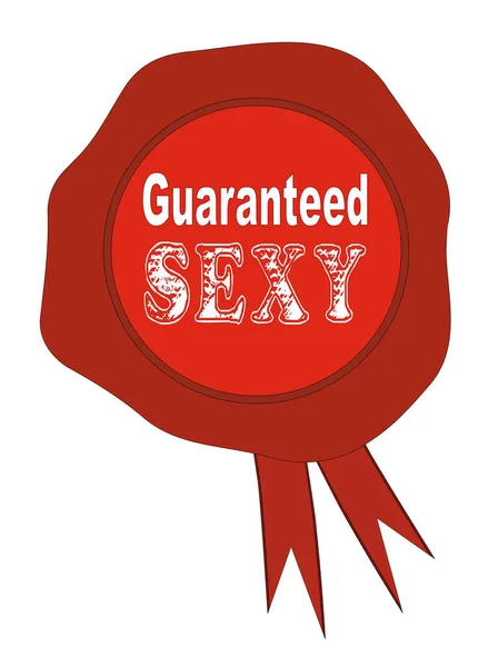 Wax Seal Text Guaranteed Sexy White Background — Stock Vector