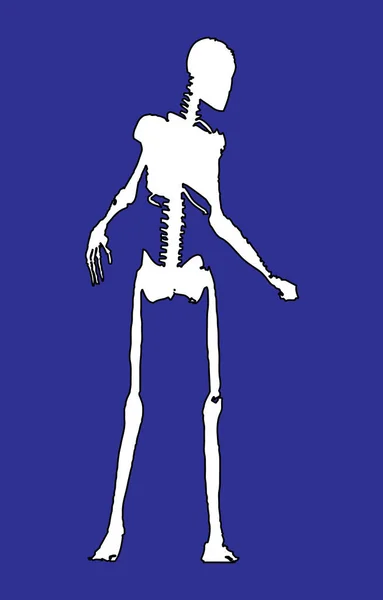 Esqueleto Halloween Silueta Blanca Sobre Fondo Azul — Vector de stock