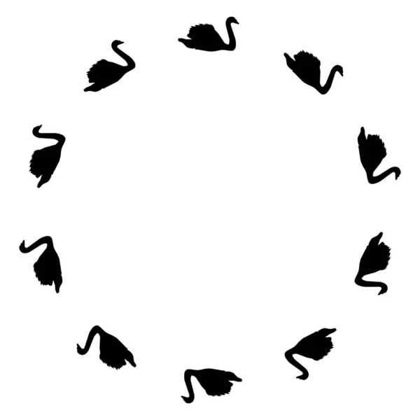 Circle Swan Birds Silhouette Set White Background — Stockvector