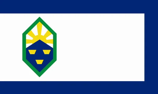 Vlag Van Stad Colorado Springs Colorado Verenigde Staten — Stockvector