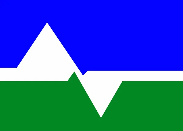 Flaggan Staden Loveland Colorado Usa — Stock vektor