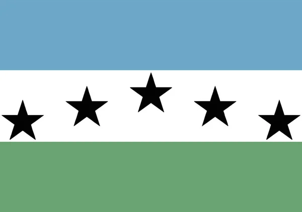 コロラド州のファイアストーン市の旗 — ストックベクタ