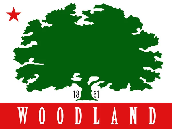 Flaga Miasta Woodland California Usa — Wektor stockowy