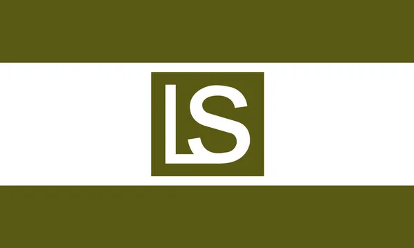 Bandera Ciudad Lee Summit City Missouri Usa — Vector de stock