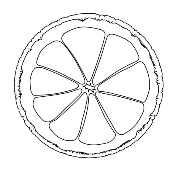 Skiva Färsk Citronapelsin Eller Grapefrukt Svart Linje Som Drar Över — Stock vektor