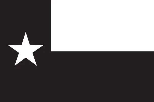 Bandeira Estado Dos Eua Texas Preto Branco —  Vetores de Stock