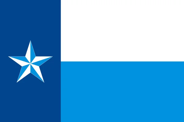 Flag County Dallas Texas — Stockvector