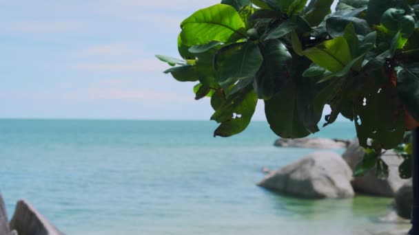 해변에서 휴가를 보내는 여름철에는 나무들 과맑은 있었습니다 바다를 스트레스를 줄이는데 — 비디오