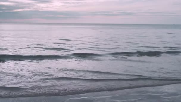 海滩旅游和娱乐的概念 在风中摇曳的旅行 享受着海滩的氛围 放松一下 看日落在海面上 — 图库视频影像