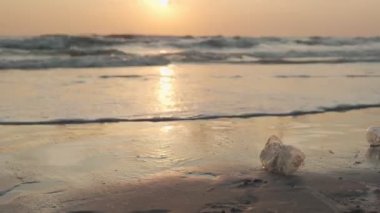 Gönüllüler sahile atılan kirliliği koruyorlar. Plajda yürürken plastik şişeleri toplayan bir kadın. Böylece plastik şişeler denize girmez.