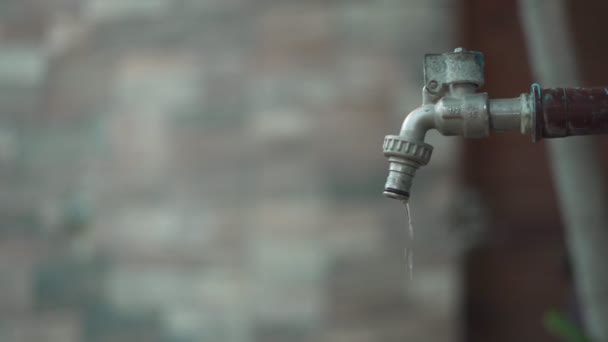 Homme Trouvé Des Gens Qui Ont Oublié Éteindre Eau Éteignez — Video