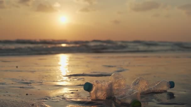 Ave World Voluntário Apanhar Lixo Praia Pessoas Coletam Garrafas Plásticas — Vídeo de Stock