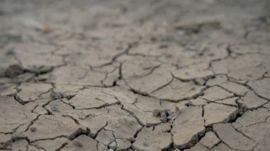 Yer koşulları ve kuraklığa yağmur ve çevre nedeniyle ağaçların devrilmesi neden olur. Dünyayı ve dünyayı kurtar..