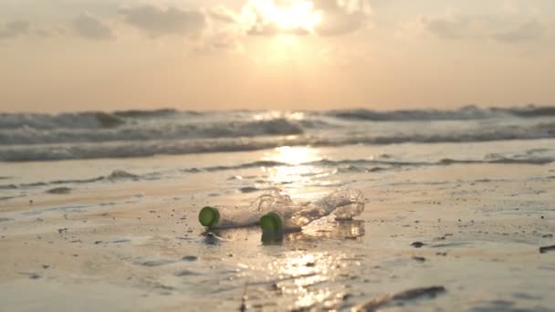 Ave Mundo Voluntario Recogiendo Basura Playa Las Personas Recogen Botellas — Vídeo de stock