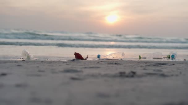 Människan Håller Plastflaska Föroreningar Från Resenären Som Har Kasserats Stranden — Stockvideo