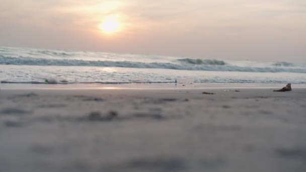 Risparmia Acqua Volontari Raccolgono Spazzatura Spiaggia Bottiglie Plastica Sono Difficili — Video Stock