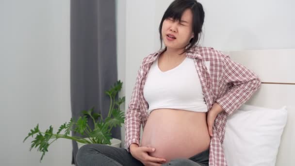 Tünetei Hasi Hátfájás Kezd Megjelenni Több Növekvő Terhességi Életkor Terhes — Stock videók