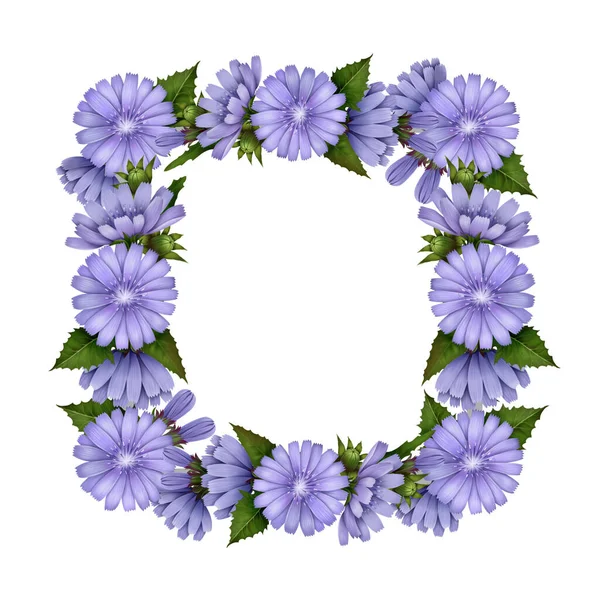 方形的框架从菊花 蓝色的花 玉米花隔离在白色的背景 手绘花 野花盛开 取代咖啡的疗伤饮品 — 图库照片