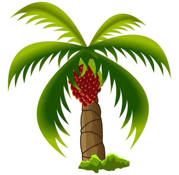Petrol palmiye ağacı — Stok Vektör