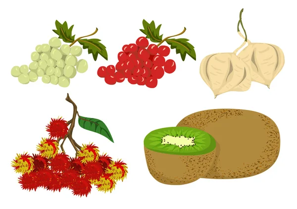 Frutas Illustration.eps — Archivo Imágenes Vectoriales