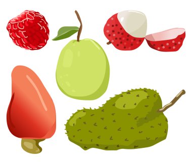 guava, familyanın lalillardieri, ahududu, lychee, soursop