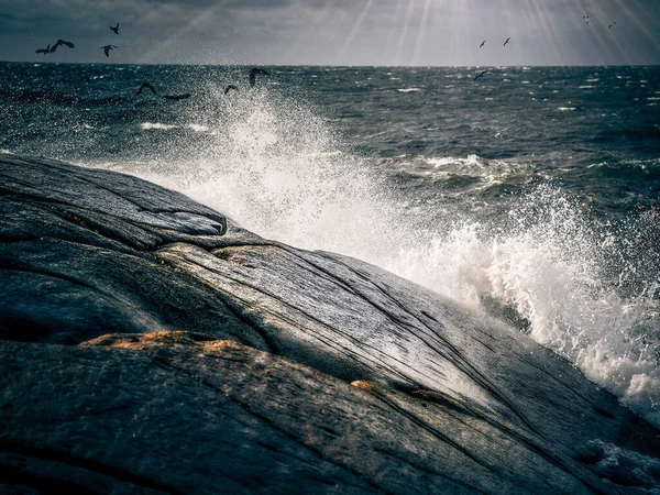 Deniz kenarında rüzgarlı. Büyük bir dalga kayalara çarpıyor..