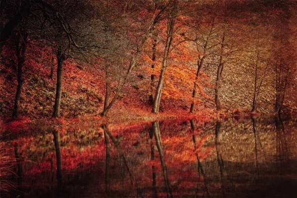 Göl Kenarındaki Sonbahar Renkleri — Stok fotoğraf