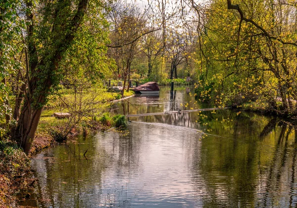 Landschap Het Spreewald Duitsland — Stockfoto