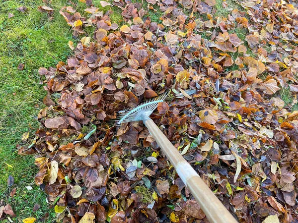 Muchas Hojas Otoño Jardín Con Escoba Hoja — Foto de Stock