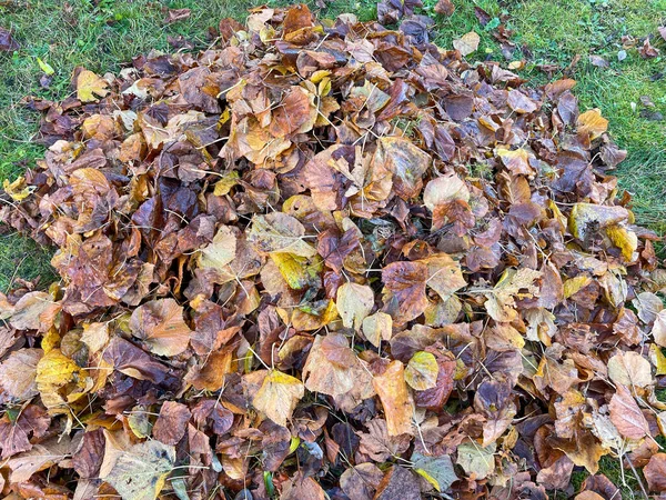 Mucchio Foglie Autunno Parco — Foto Stock