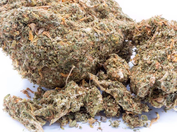 Terápiás Gyógyászati Kannabisz Közelről — Stock Fotó