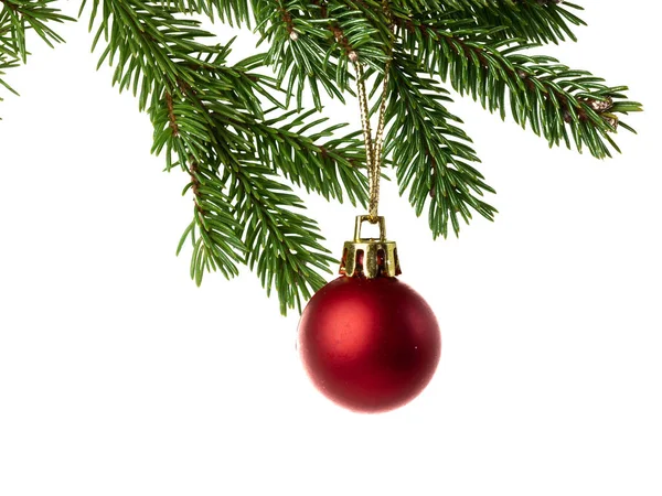 Kerstversiering Een Pijnboom Tak — Stockfoto