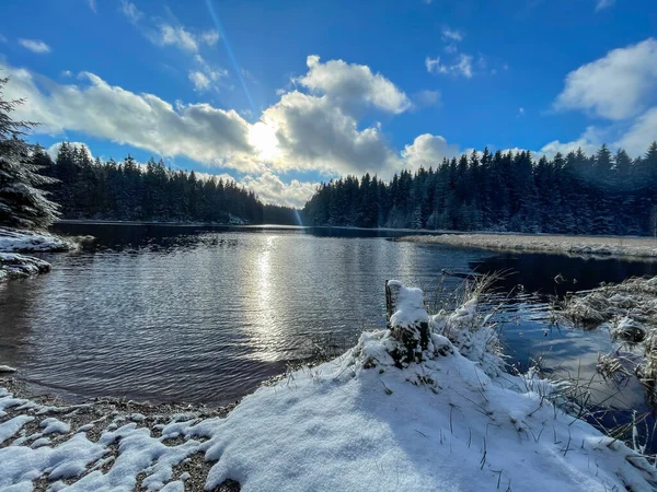 Landscape Lake Forest Vogtland — Stockfoto