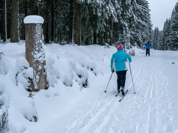 Osoba Spacerująca Lesie Zimowym — Zdjęcie stockowe