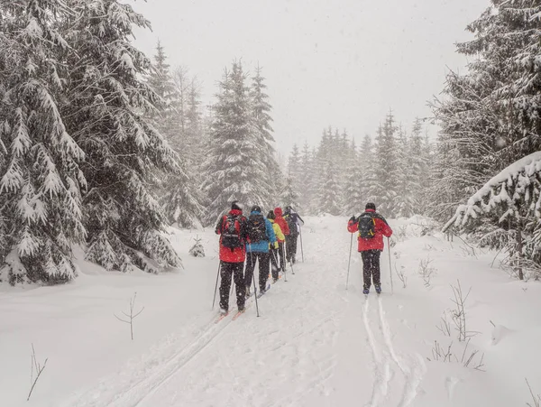 Grupa Ludzi Spacerujących Lesie Zimowym — Zdjęcie stockowe