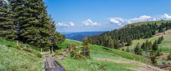 Baharda Panorama Kara Orman Feldberg — Stok fotoğraf