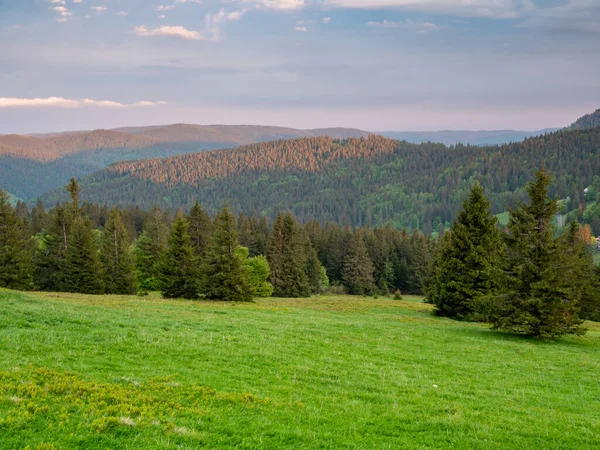 Utsikt Över Övre Schwarzwald Baden Wuerttemberg — Stockfoto