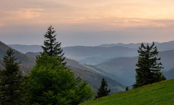 Almanya Daki Kara Orman Dağ Manzarası — Stok fotoğraf