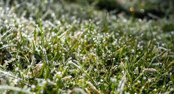 草地上覆盖着霜冻的全景草地 — 图库照片