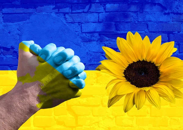 Фон Украины Подсолнухом Молитвенными Руками — стоковое фото