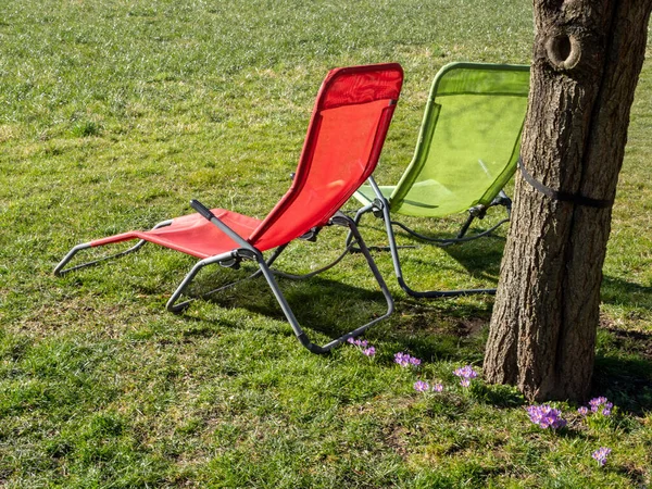 Relaxing Lounge Chair Spring — Stock Photo, Image