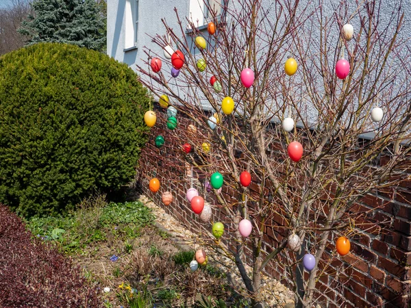 Easter Eggs Bush Garden — Stock Photo, Image