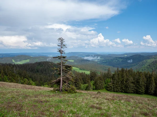 Utsikt Över Schwarzwald Från Feldberg — Stockfoto