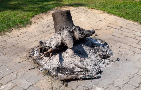 Old Fire Pit Charcoal Ash Garden — стоковое фото