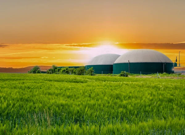 Biogas Plant Sunset Corn Field —  Fotos de Stock