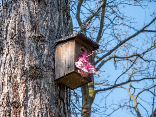 Nistkasten Mit Plastikmüll Tierschutz — Stockfoto