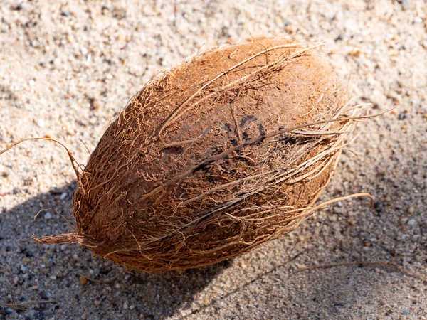 Coco Orgânico Areia — Fotografia de Stock